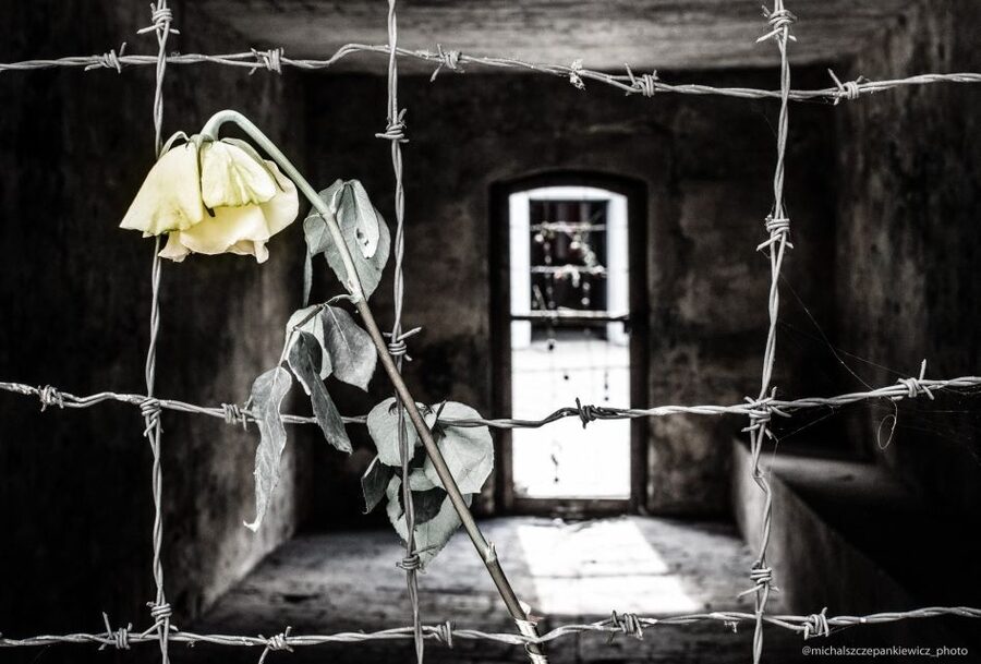 Stutthof Concentration Camp Half-Day Private Tour - How private guiding changes the experience