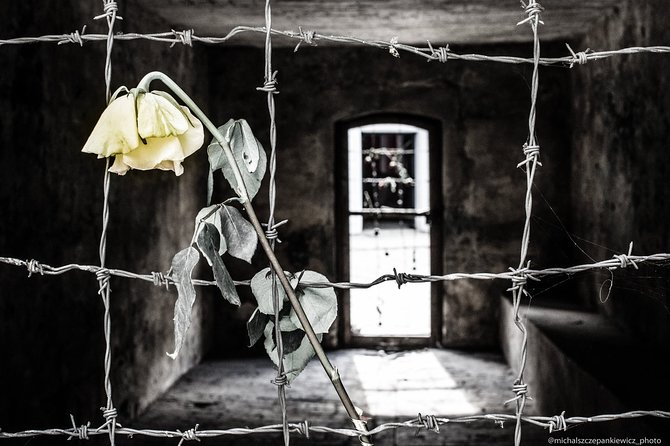 Stutthof Concentration Camp Private Tour from Gdansk - Entering the museum: what your 2 hours at Stutthof is really for