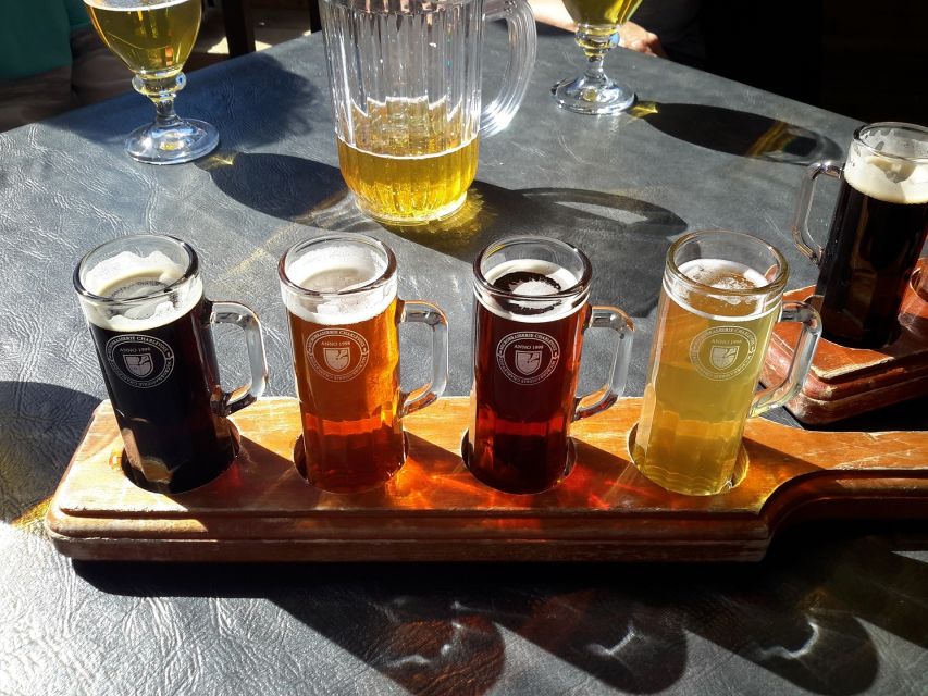 Szczecin Polish Beer and Food Tasting Private Tour - The 2-hour route, 2 venues, and where the food pairing lands