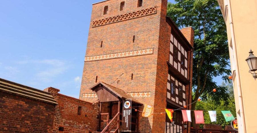 Torun Living Museum of Gingerbread and Old Town Private Walk - The Living Museum Workshop: Make Gingerbread and Hear the Why