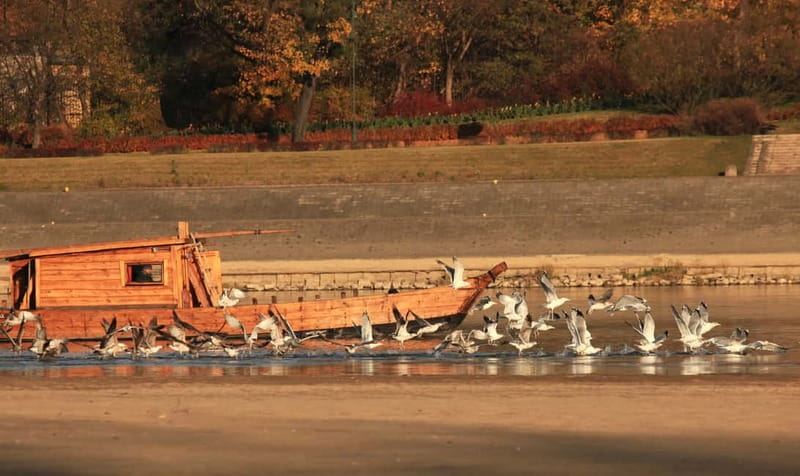 Toruń: Sightseeing Cruises on the Vistula River - From Bulwar Filadelfijski to the Old Town wall of views