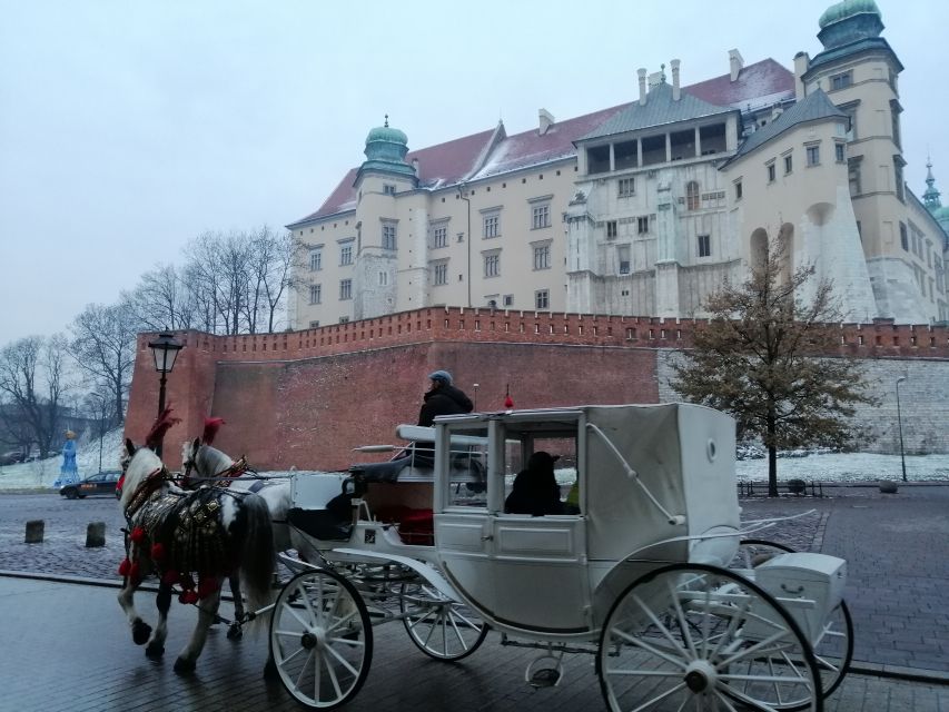 Warsaw: Tour to Krakow and Auschwitz by Train with Pickup - The shared ride from Krakow to Auschwitz and how the day gets serious