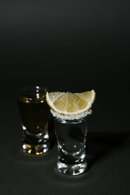 Warsaw: Vodka Tour - Key things to know before you go