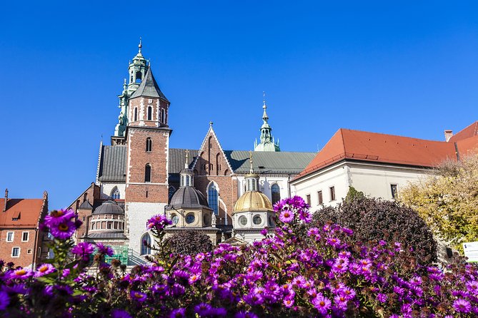 Wawel Hill Audio-Guided Tour - Where You Meet (and How Not to Miss the Start)