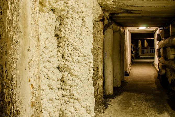 Wieliczka Salt Mine from Krakow, Guided Half-Day Tour with Private Transport - Timing and How the Half-Day Schedule Feels in Real Life