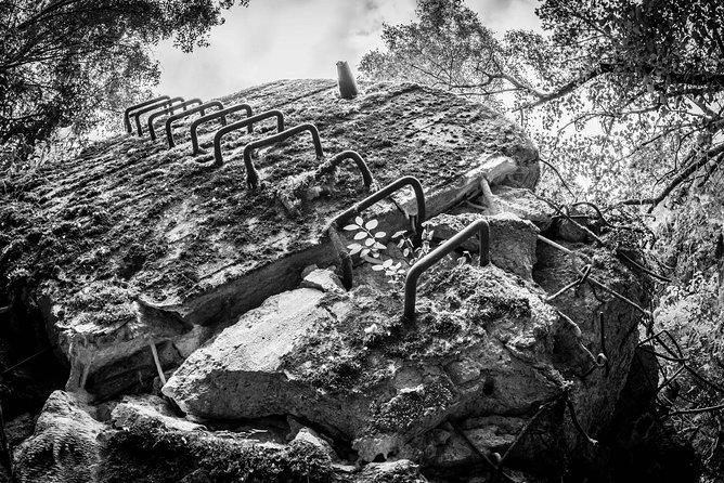 Wolf's Lair and St. Lipka Private Tour from Gdansk - Should you book Wolf’s Lair and St. Lipka?