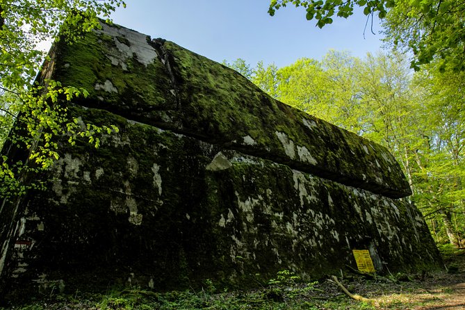 Wolf’s Lair Private Day Trip from Warsaw - Wilczy Szaniec (Wolf’s Lair): what you should expect on-site