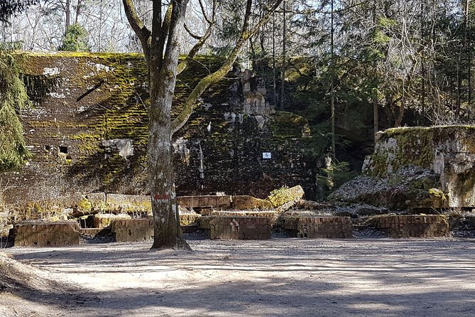 Wolf's Lair & Treblinka Tour in 1 day from Warsaw - Should you book this Wolf’s Lair and Treblinka day trip?