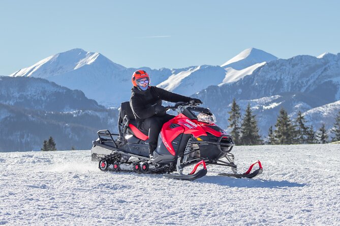 Zakopane: 3 hours Snowmobiles Guided Tour with bonfire and meal - Price and value: what $295 buys you for 3 hours