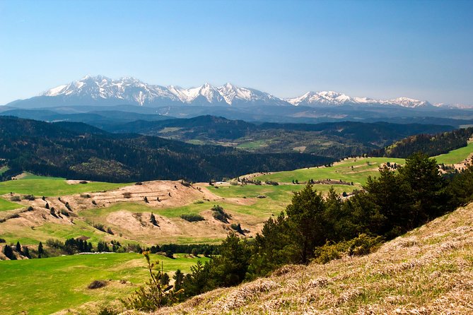 Zakopane and Tatras Mountains Day Tour from Krakow - Krupówki Street Time: Lunch, Souvenirs, and Crowds