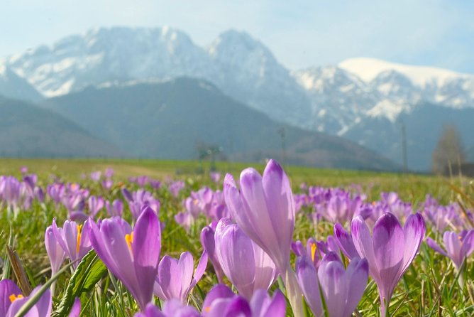 Zakopane and Tatras Mountains Day Tour from Krakow - Timing, Walking, and Weather: What to Pack