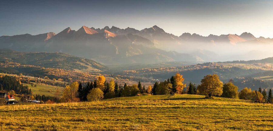 Zakopane: Buggy Off‑Road Adventure, Mountain Views & Bonfire - Shepherd’s hut and oscypek: tasting a Tatra tradition