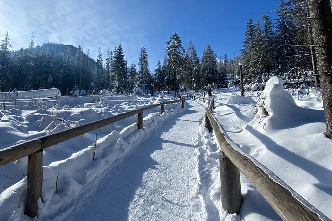 Zakopane Day Tour with Hotel Pick up and Optional Thermal Spa - Who should book this Zakopane day tour, and who might skip it