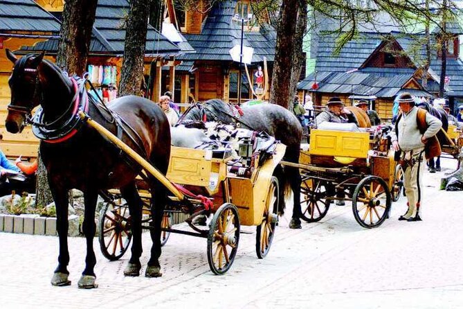 Zakopane full day tour with cable car & thermal baths from Krakow - Chochołów Wooden Village: UNESCO in 40 minutes, quick context and great photo stops