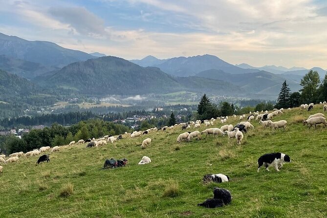 Zakopane full day tour with cable car & thermal baths from Krakow - Oscypek by the firepit: a short hands-on taste of Polish smoked cheese