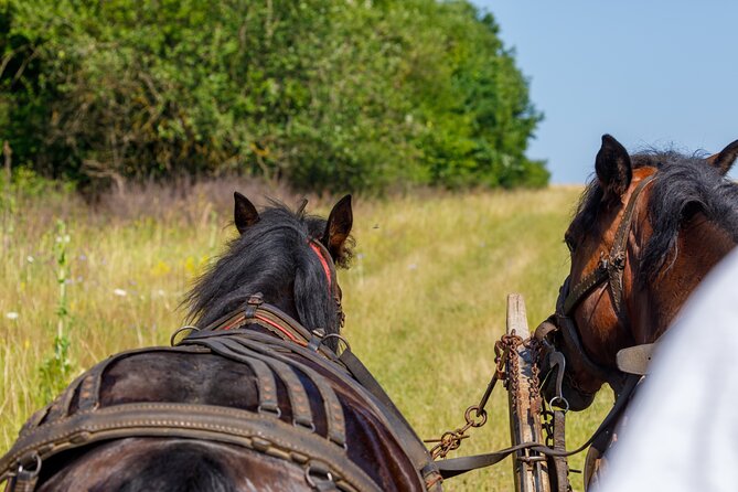 Zakopane Horse-Drawn Rides with Local Guide and Food Tasting - Group size, timing, and what to expect on the ground