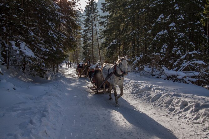 Zakopane Horse-Drawn Rides with Local Guide and Food Tasting - Who should book this and who might skip it