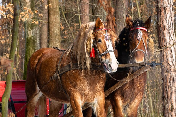 Zakopane Horse-Drawn Rides with Local Guide and Food Tasting - Should you book Zakopane Horse-Drawn Rides with Local Guide and Food Tasting?