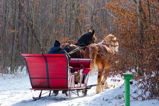 Zakopane Horse-Drawn Rides with Local Guide and Food Tasting - FAQ