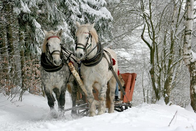 Zakopane Horse-Drawn Rides with Local Guide and Food Tasting - Chocholow stop and the torchlit start that sets the tone
