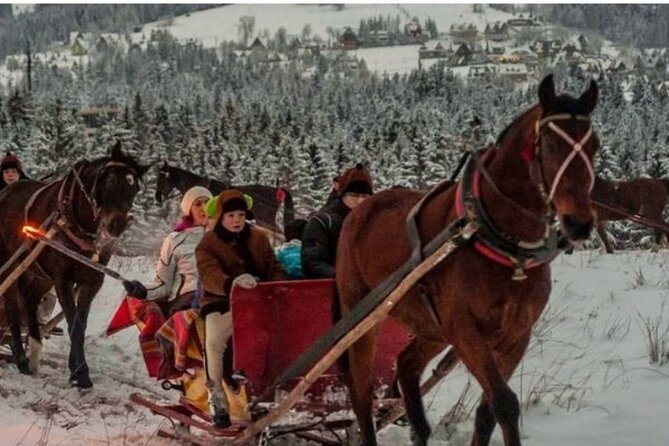 Zakopane Sleigh Ride in Tatra Mountains - Why a Chochołowska Valley sleigh ride feels different at night