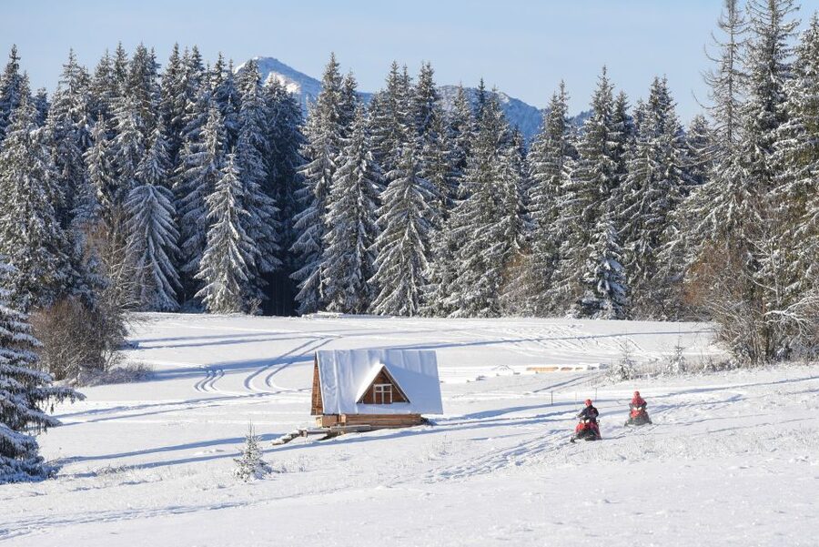 Zakopane: Snowmobiles Expedition and Optional Bonfire - When there’s not enough snow: quads or buggy are the backup plan