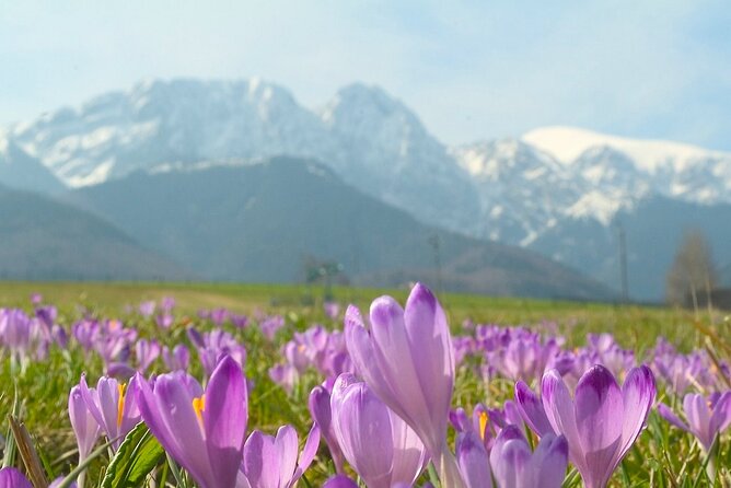 Zakopane & Tatra Mountains - Why Zakopane and the Tatras Work as a Day Trip
