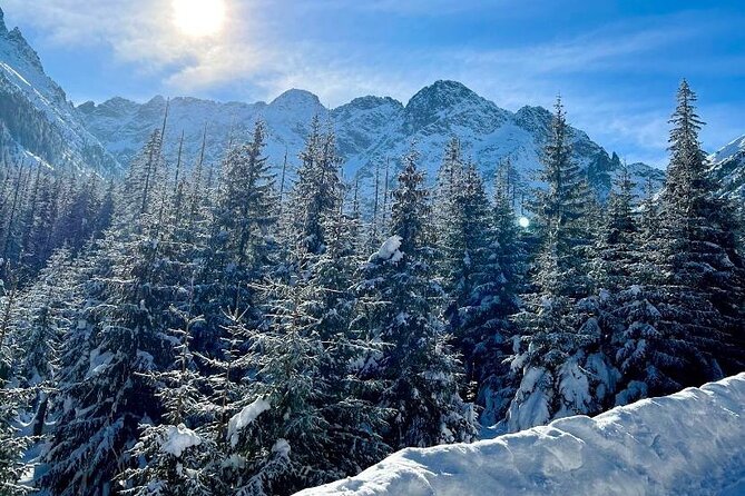 Zakopane Tour from Krakow with Thermal SPA and Hotel Pick up - Price and Value: Is 123 USD Worth a Full Day?